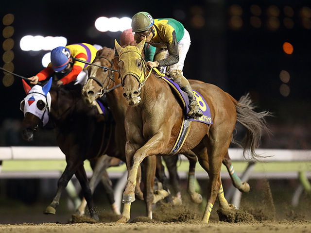 地方競馬】11歳のGI馬サウンドトゥルーが骨折で引退、JRA時代に