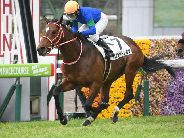 3歳1勝クラス】(阪神6R) バスラットレオンが逃げ切り古川奈穂騎手初勝利 | 競馬ニュース - netkeiba