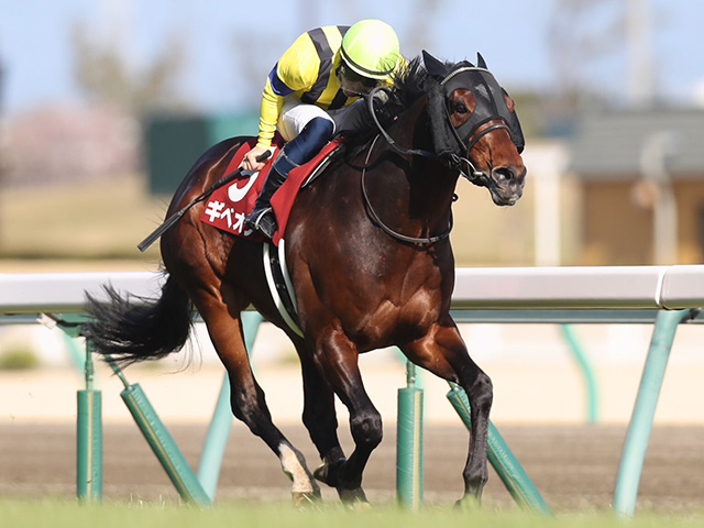 JRA・WIN5】的中1票！ 配当は史上最高の5億5444万6060円！ | 競馬ニュース - netkeiba