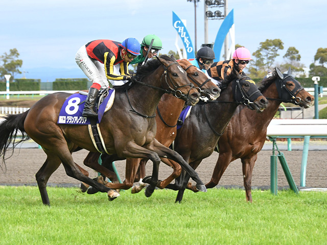 JRA】阪神・中京競馬場が3月13日から観客入場再開、指定席の事前購入者