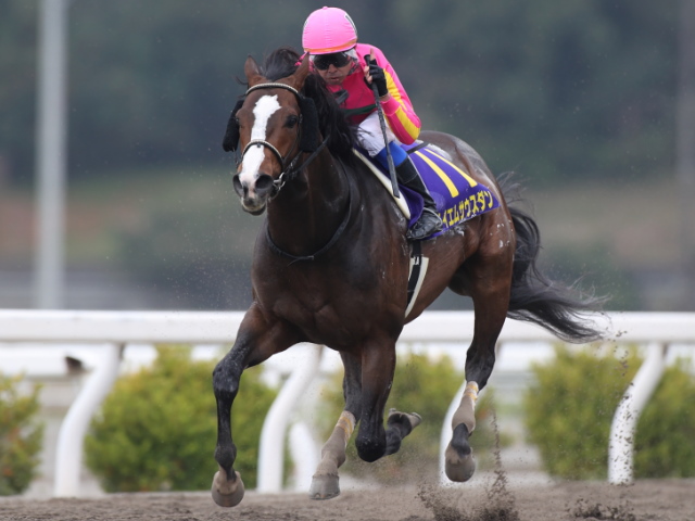 高知・黒船賞】ハルウララ＆武豊騎手のレースを17年振りに更新！ 1競走