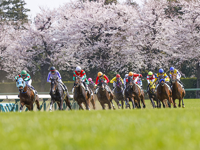 JRA】中山競馬場は4月3日から観客入場再開、指定席の事前購入者限定 | 競馬ニュース - netkeiba