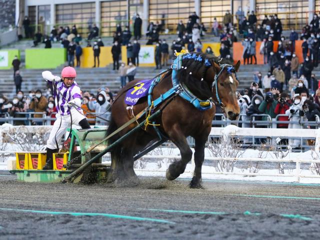 地方競馬】ばんえい十勝が29年ぶりに年度発売金額の最高記録を更新！ | 競馬ニュース - netkeiba