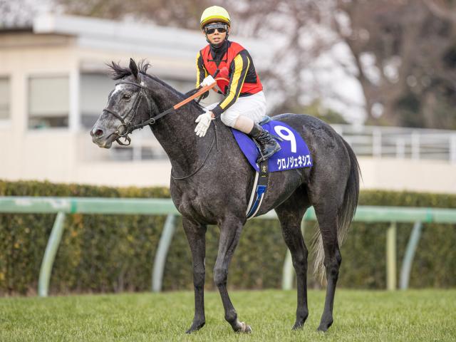 競馬 クロノジェネシス ベスト - その他