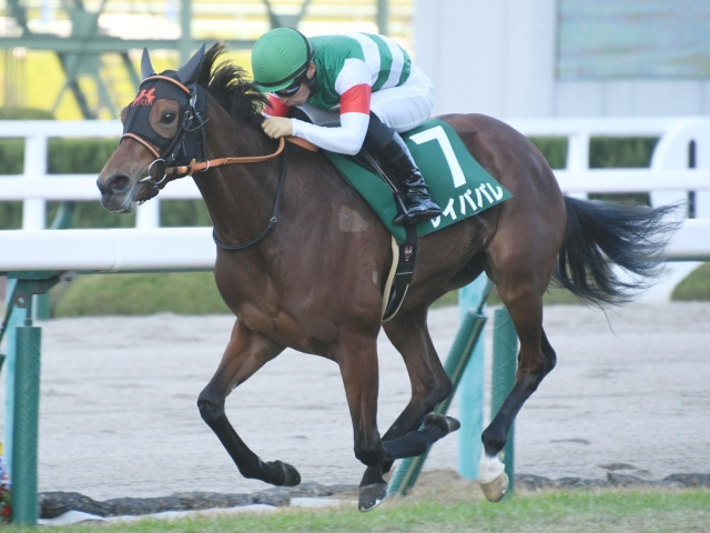 大阪杯】5戦5勝！無敗の女レイパパレに2強打倒の夢を託す | 競馬