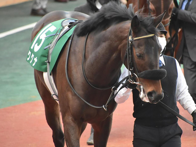 NZT想定】桜花賞にも登録のククナ、2戦2勝馬アヴェラーレ、ワーズワースなど22頭 | 競馬ニュース - netkeiba