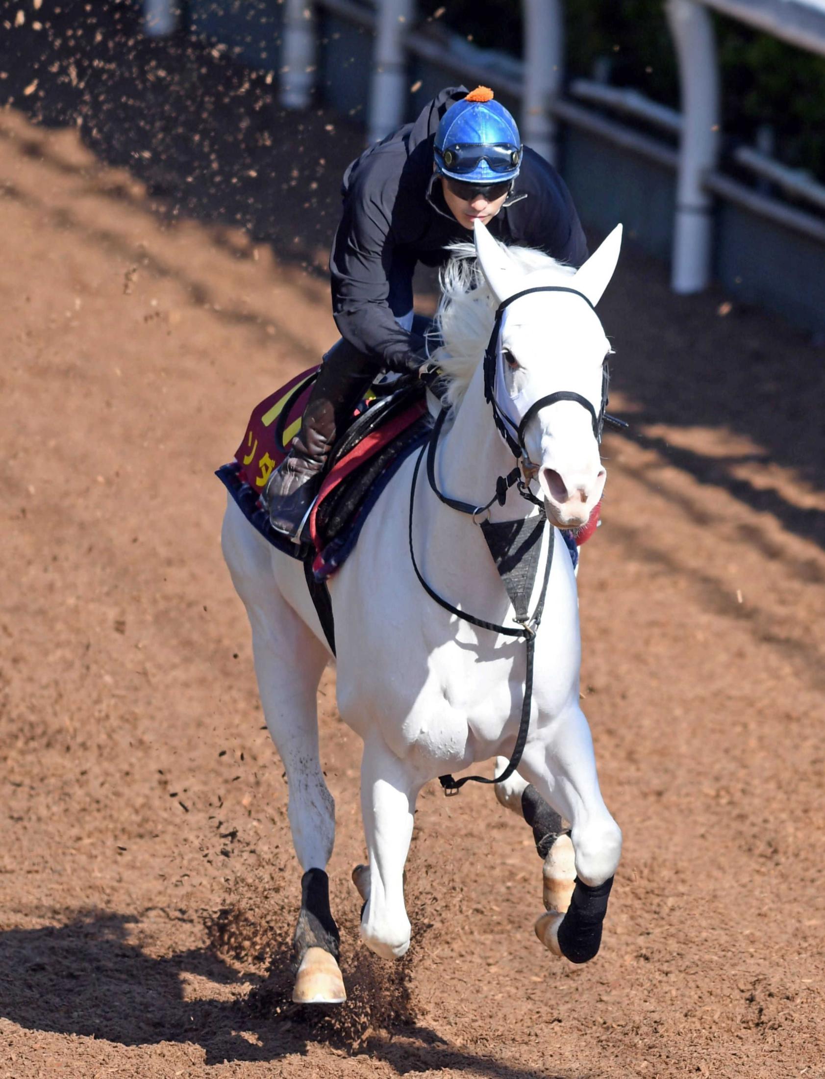 桜花賞】ソダシ文句なし 白毛馬初クラシック制覇＆８頭目の無敗桜女王