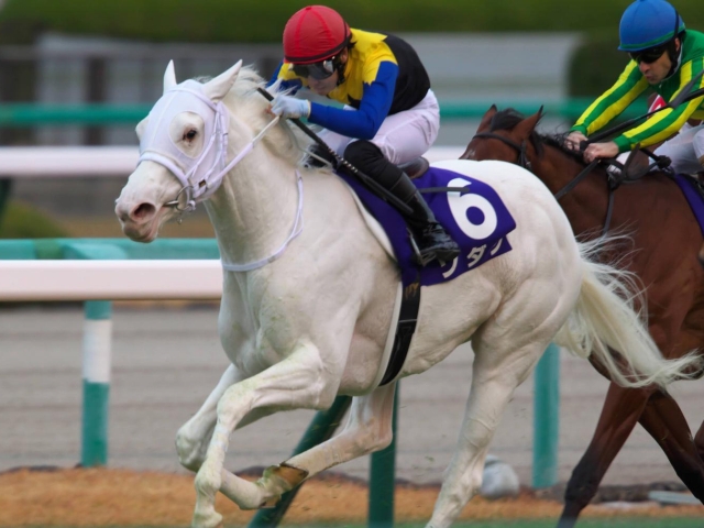 桜花賞枠順確定】ソダシは2枠4番、サトノレイナスは大外8枠18番 | 競馬