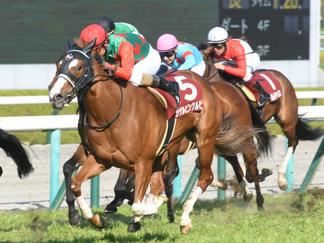 桜花賞予想】阪神JFで惨敗の1頭がソダシとサトノレイナスを出し抜く