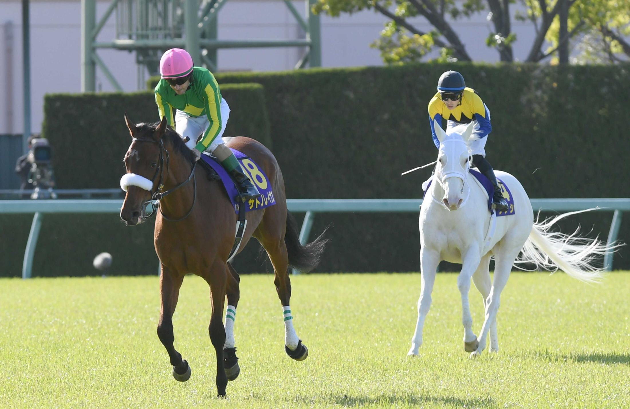 桜花賞】サトノレイナスまた２着 ルメール「１８番ありがとうございます」 | 競馬ニュース - netkeiba