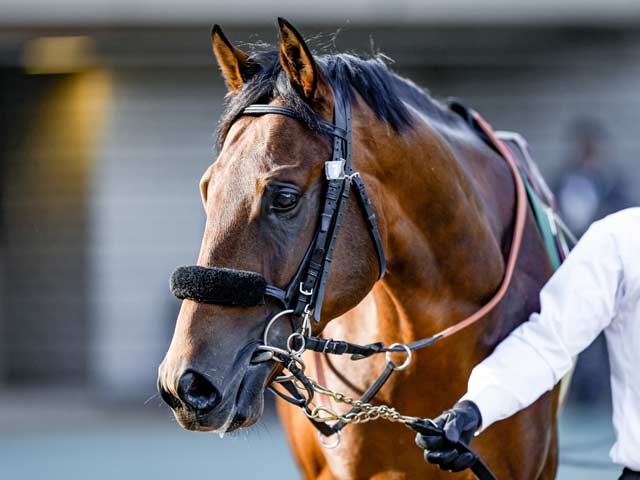 皐月賞】エフフォーリア好勝負期待/馬三郎のつぶやき | 競馬ニュース