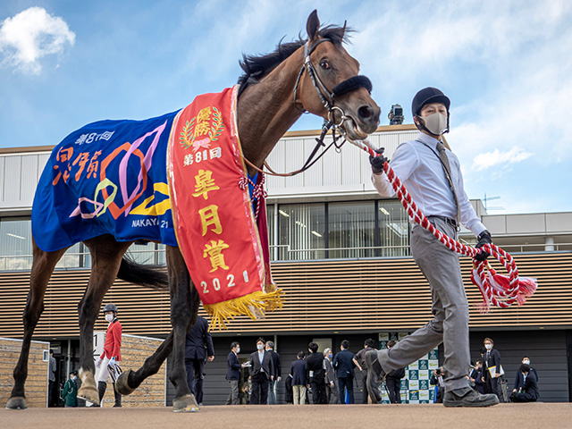 凱旋門賞 プレミアム ジャケット 赤 競馬 | www.gamescaxas.com