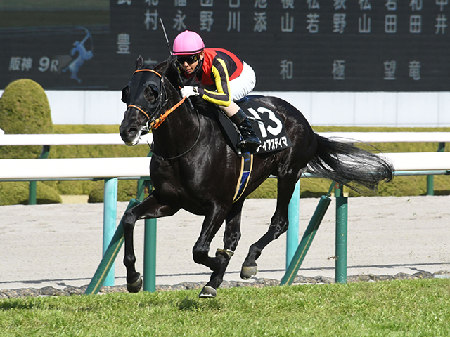 天皇賞・春予想】今年はかつての持久力勝負が復活!? 混戦模様の春の盾に風穴を開ける“激走候補”/JRAレース展望 | 競馬ニュース - netkeiba