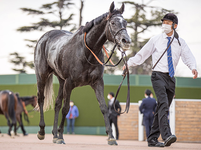 クロノジェネシスはルメールとのコンビで宝塚記念へ 主戦・北村友が 