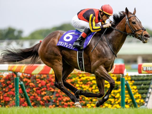 ヴィクトリアマイル結果】グランアレグリアが突き抜け圧勝！ GI・5勝目