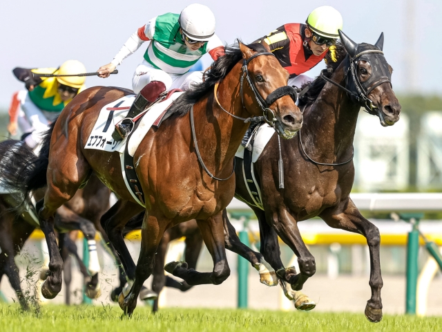 日本ダービー レース後コメント】シャフリヤール福永祐一騎手ら | 競馬