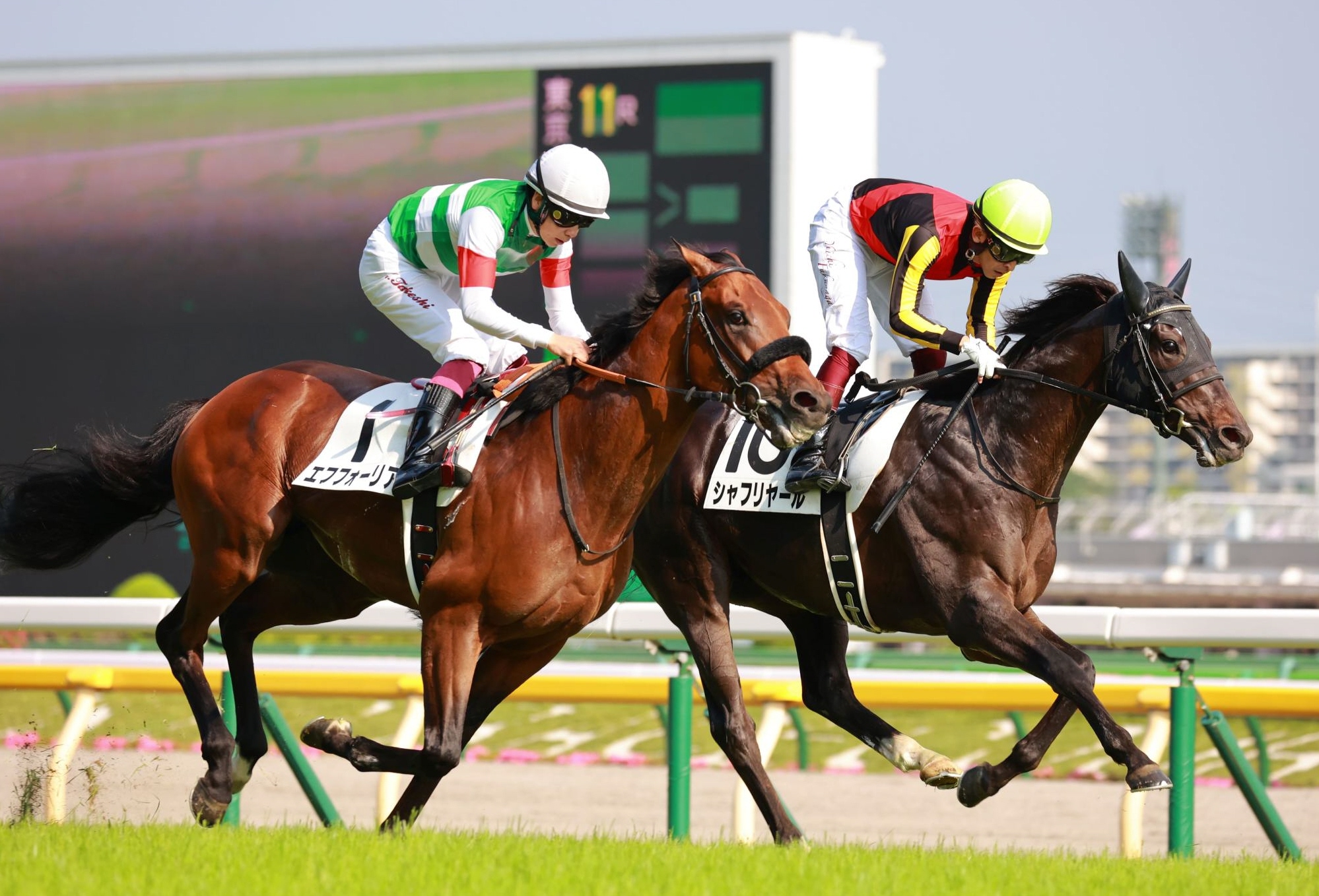 日本ダービー】山本昌氏“ダービーオーナー”に シャフリヤールに一口