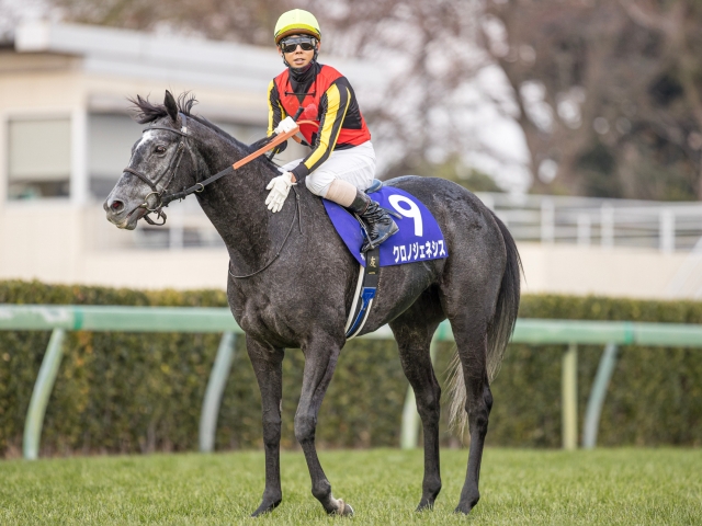 宝塚記念】第2回中間発表 クロノジェネシスが首位 | 競馬ニュース