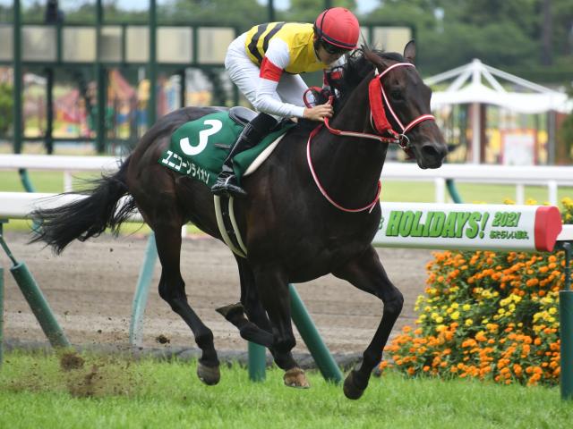 鳴尾記念結果】8番人気ユニコーンライオンが逃げ切り重賞初V | 競馬ニュース - netkeiba