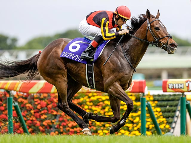 安田記念・馬体重】グランアレグリアは502kg(+4)、シュネルマイスターは474kg(-6) | 競馬ニュース - netkeiba