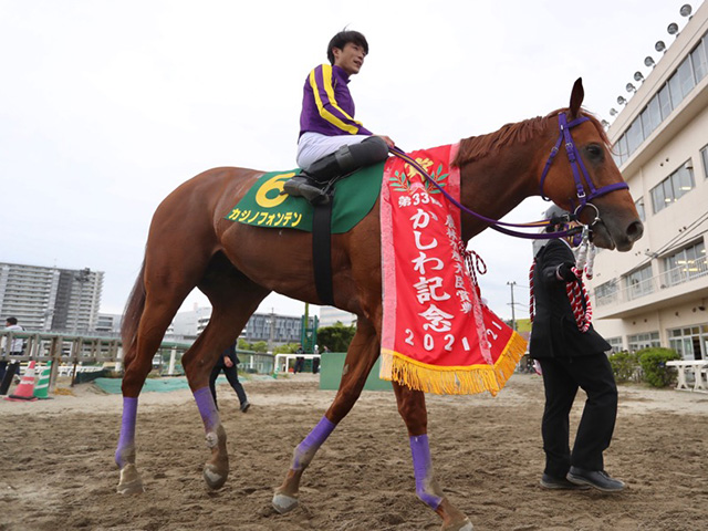 帝王賞】南関東の選定馬発表 カジノフォンテン、ミューチャリー、ノンコノユメなど | 競馬ニュース - netkeiba