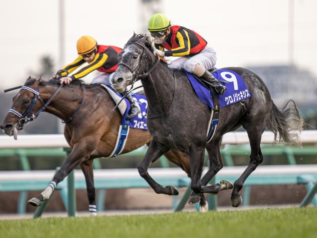 宝塚記念】登録馬 クロノジェネシス、レイパパレなど15頭 | 競馬