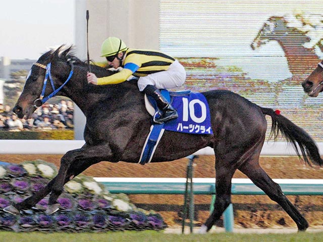 ハーツクライが種牡馬を引退 | 競馬ニュース - netkeiba.com