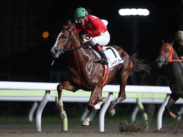 地方競馬】“大井の帝王”的場文男騎手にまた新たな勲章！ 「本当に感謝の気持ちでいっぱい」 | 競馬ニュース - netkeiba