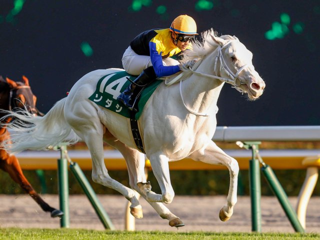 札幌記念見どころ】ラヴズオンリーユーとソダシが始動戦で激突 | 競馬