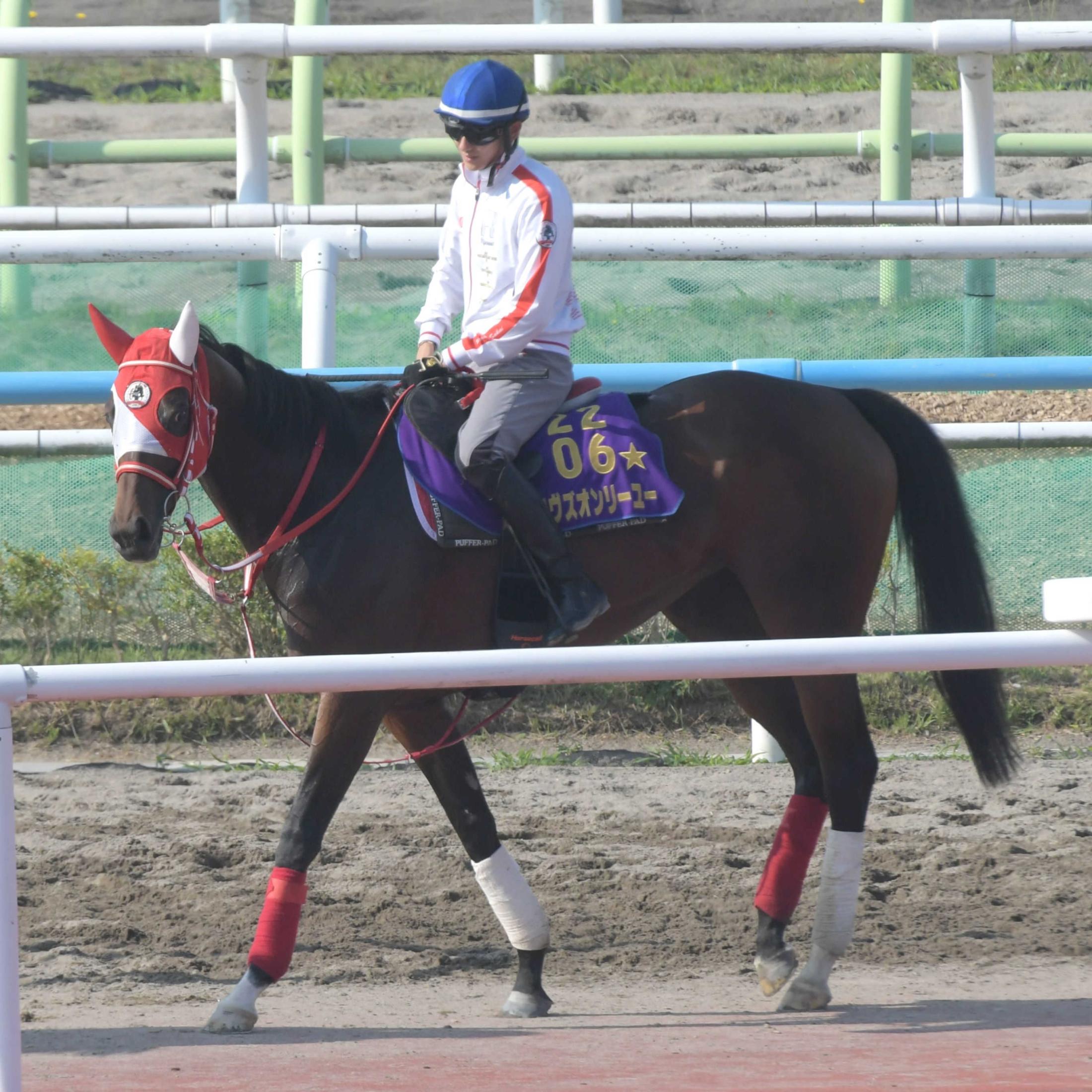 札幌記念】ラヴズオンリーユー本格化 海外Ｇ１・２勝目へ Ｖで弾