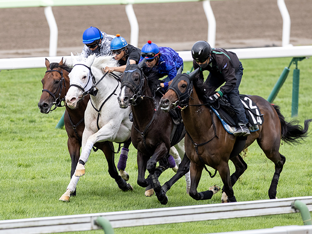 最高の品質の 競馬 ラヴズオンリーユー BC 優勝記念写真パネル その他