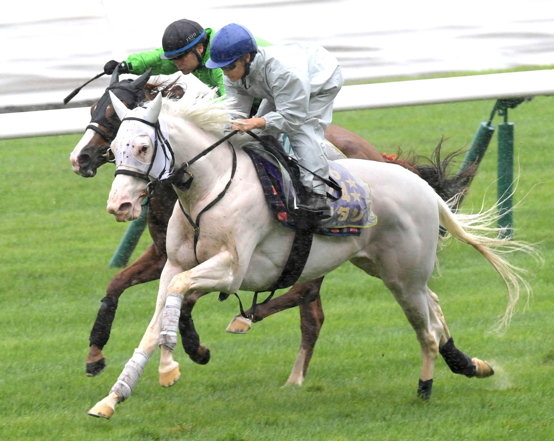 農相支援の新人当選 ソダシ コースター 札幌競馬 | www.qeyadah.com