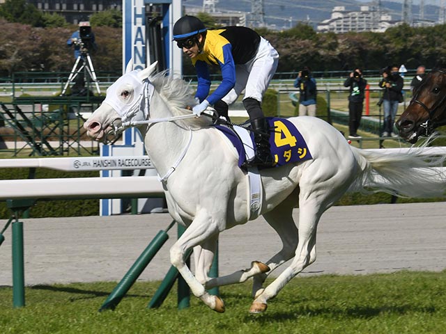 札幌記念・馬体重】ソダシは472kg(0)、ラヴズオンリーユーは470kg(-8