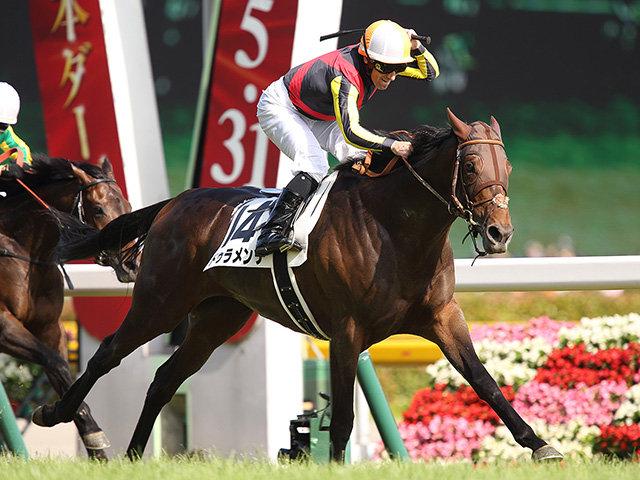 ドゥラメンテ、急性大腸炎のため死す | 競馬ニュース - netkeiba