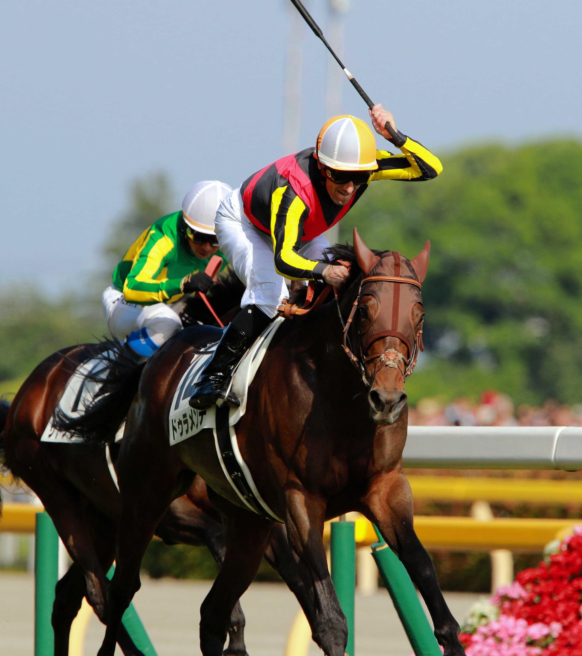 1位受賞 SALE実施中 競馬 ドゥラメンテ | www.ouni.org