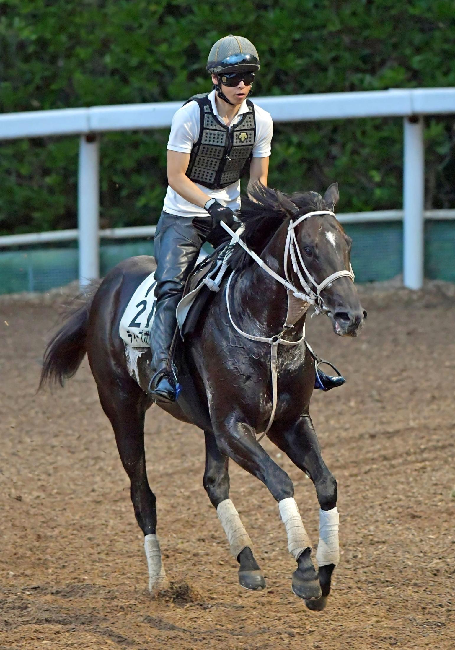 競馬 ディープボンド 凱旋門賞出走記念パーカー（L）グリーン