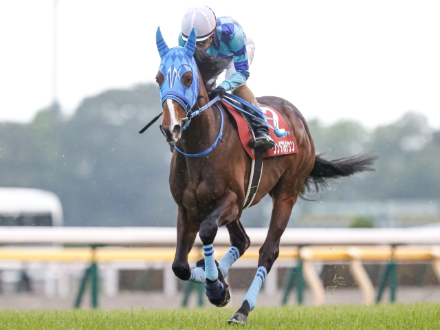 神戸新聞杯】ダービー馬シャフリヤールの王道決着か舞台適性で