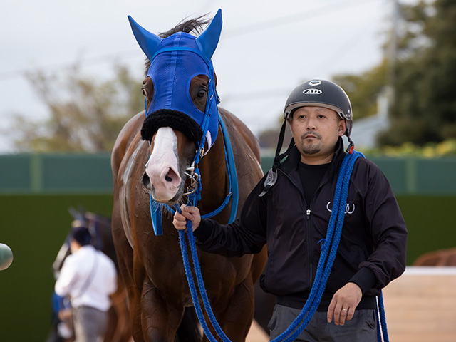 JRA】1986年以降6頭目、ロイヤルパールスが自身2度目の単勝万馬券