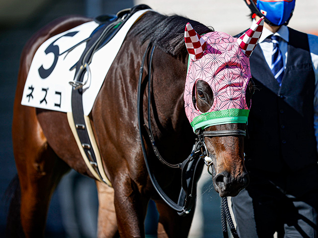 JRA】“鬼滅の刃”彷彿のメンコでネズコがデビュー、初戦は8着 | 競馬ニュース - netkeiba