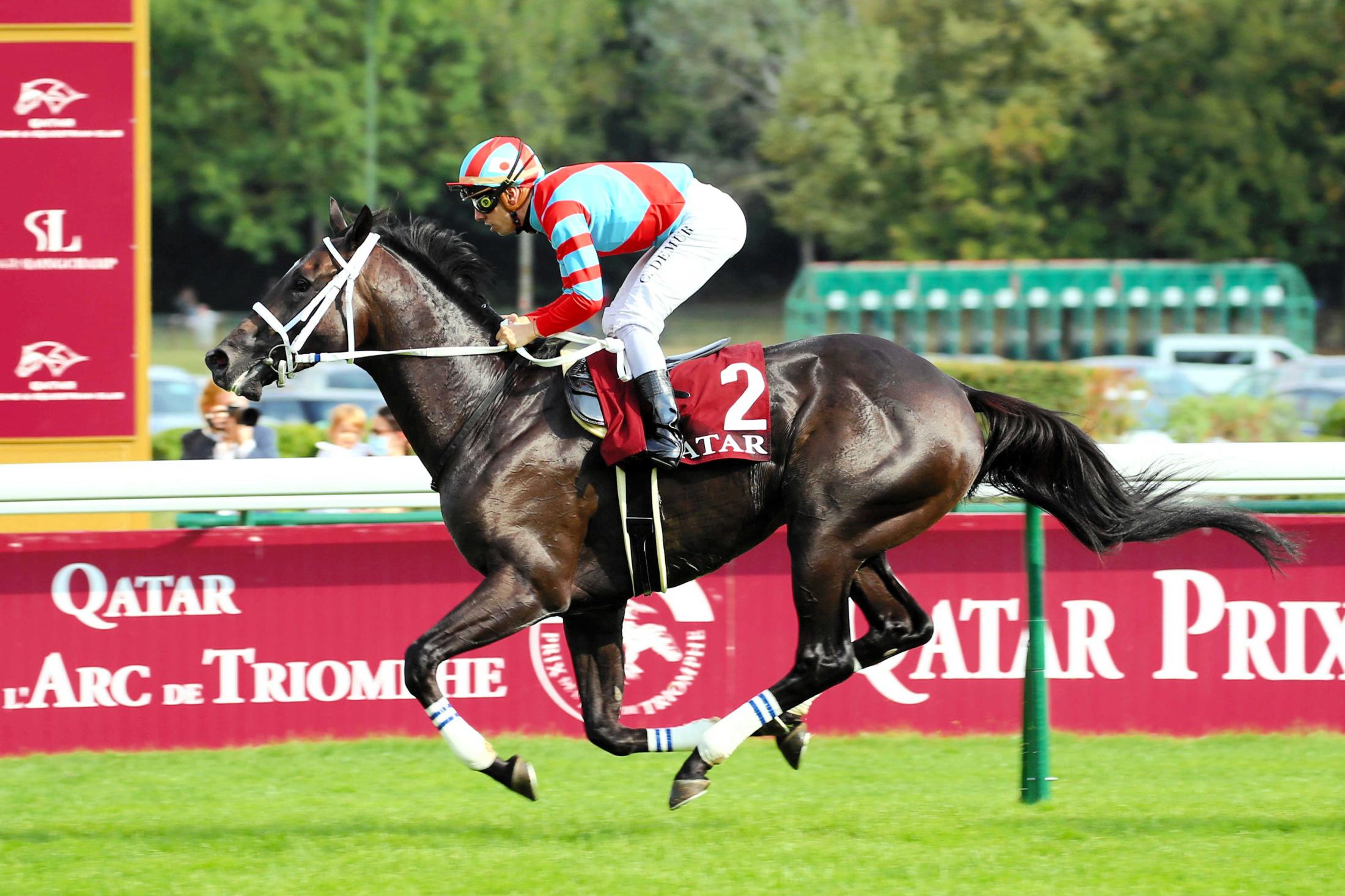 凱旋門賞】たたき上げディープボンド 本番と同条件フォワ賞制し態勢万全 | 競馬ニュース - netkeiba