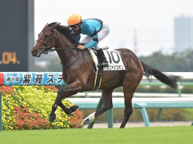 次走】SNSで話題を集めたオニャンコポンは百日草特別へ | 競馬ニュース