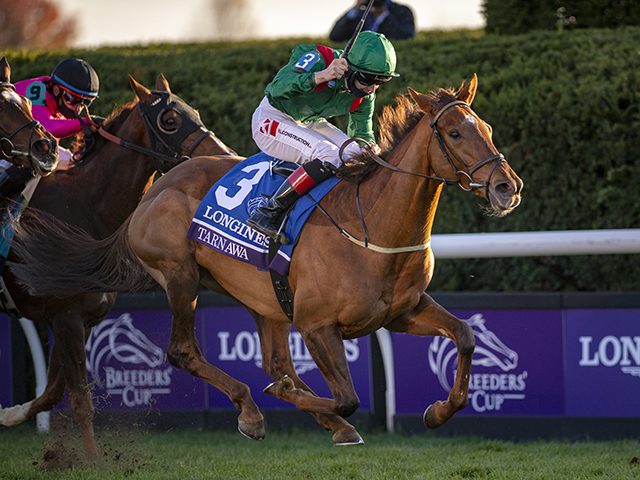 凱旋門賞注目馬】日本馬の前に立ちはだかるフランスの名手と女傑の強力タッグ | 競馬ニュース - netkeiba