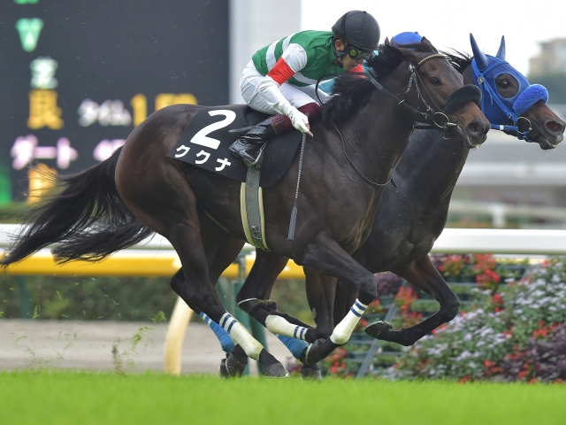 山中湖特別】(東京) 1番人気ククナが接戦を制す | 競馬ニュース - netkeiba