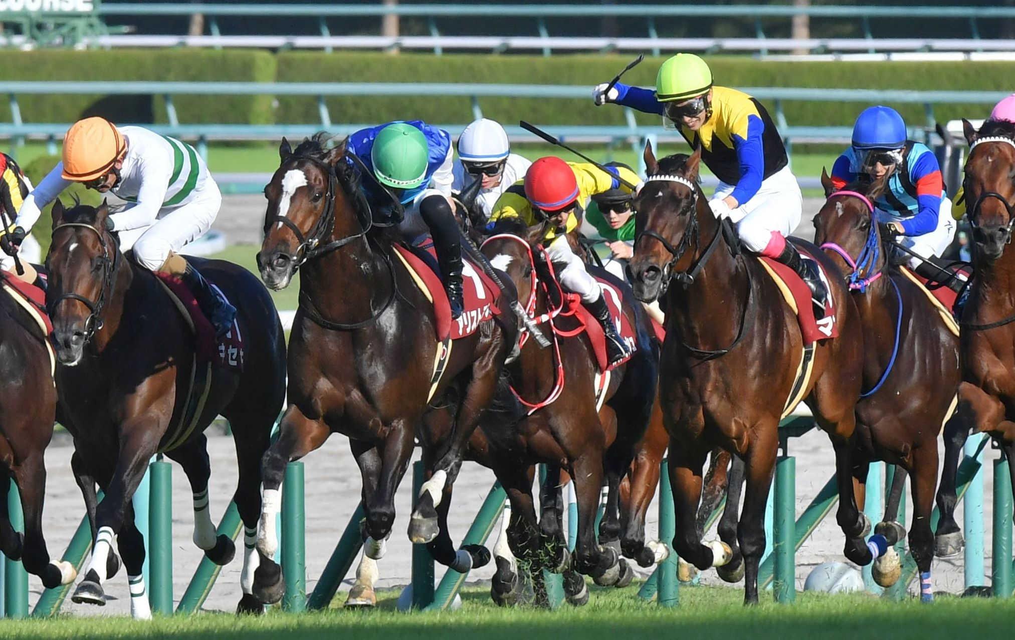 ふるさと納税 マカヒキ引退記念グラフィカルトートバッグ 競馬