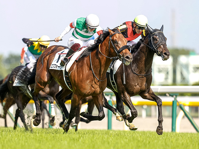 天皇賞・秋】金曜朝も坂路2本 エフフォーリアすこぶる順調/馬三郎の