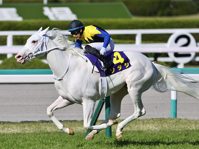 秋華賞・馬体重】ソダシは474kg(+2)、ユーバーレーベンは464kg(+2) | 競馬ニュース - netkeiba