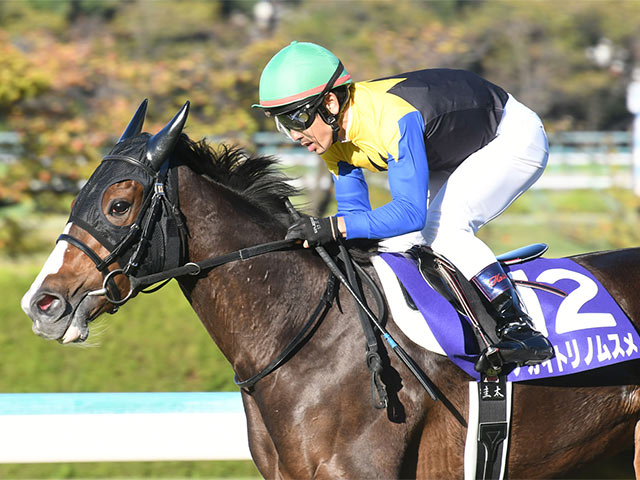 アカイトリノムスメ 次走エリザベス女王杯かジャパンカップへ | 競馬