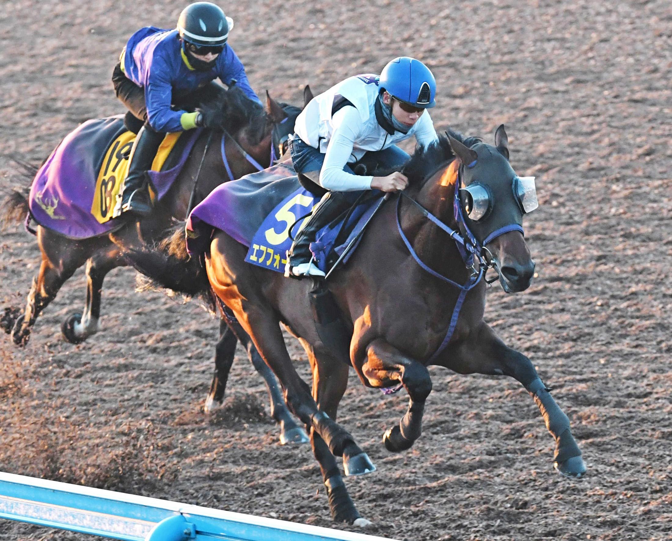 天皇賞】エフフォーリア 迫力満点 鹿戸師「いい雰囲気」 | 競馬