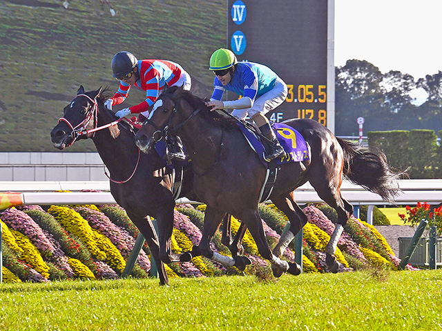 天皇賞・秋 注目馬】有終の美へ向けて負けられない戦いが始まる | 競馬ニュース - netkeiba