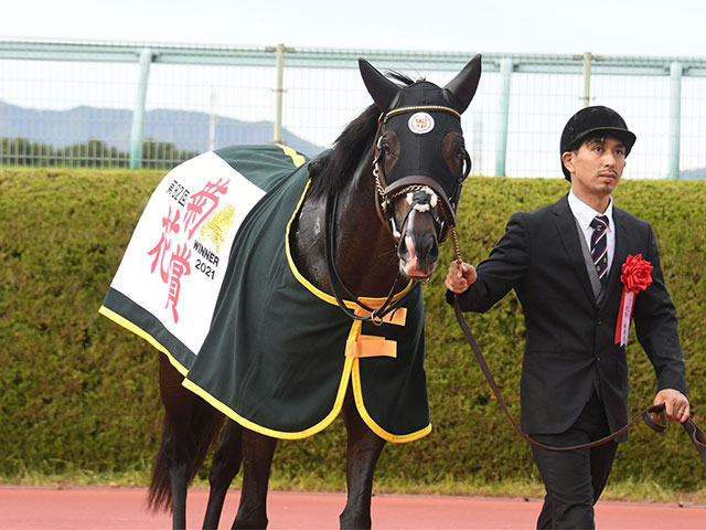 次走】タイトルホルダーは放牧へ 栗田師「選択肢として香港や有馬記念